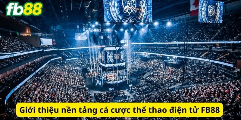 Giới thiệu nền tảng cá cược thể thao điện tử FB88